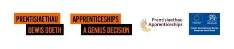 Logos used as footer for Apprenticeship Week