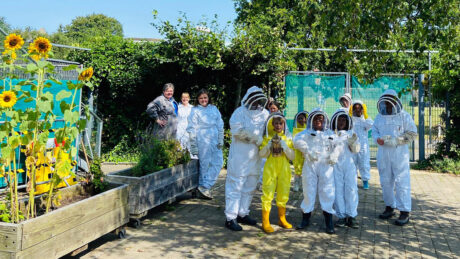 Adults wearing protective suits, standing near sunflowers