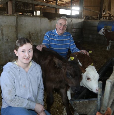 Farmer and apprentice with dairy herd