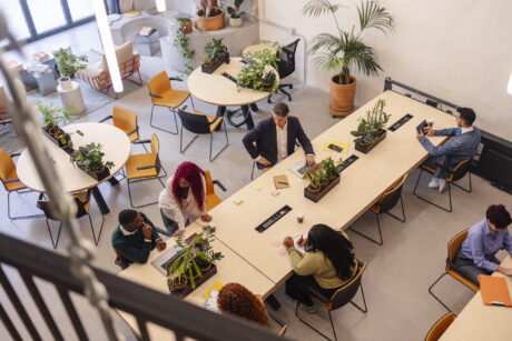 Diverse business professionals working and discussing together in a spacious, contemporary open plan office, fostering collaboration and innovation in a green environment.